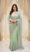 Woman in light green embroidered saree with silver accents, standing indoors, Sareeium jan